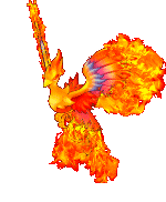 Phoenix-Bird-56653